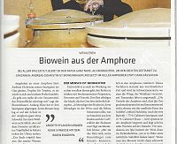 Artikel im lokalen Magazin 